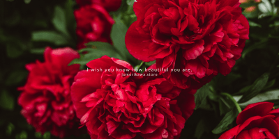 i wish you know how beautiful you are