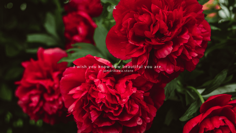 i wish you know how beautiful you are