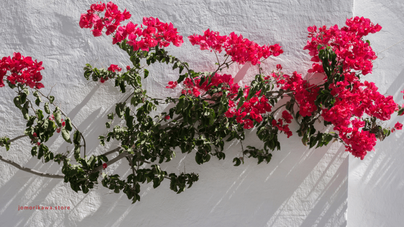 The Heat I Can Only Worship